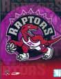 Toronto Raptors NBA Jerseys at eBay